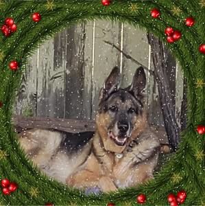 Meet your Posher, Lorraine